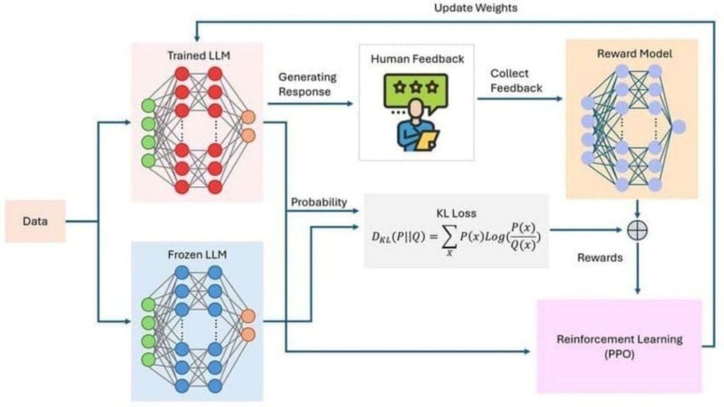 detailed fine-tuning process 