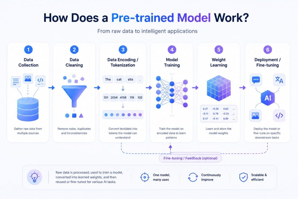 pre trained model process