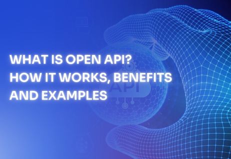 understand the concept of open API