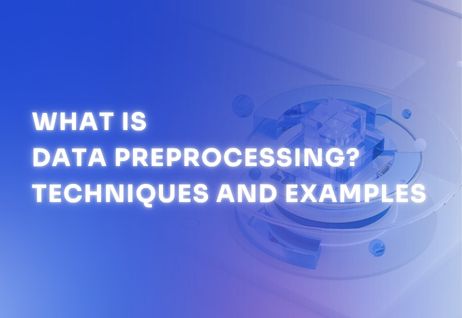 what-is-data-preprocessing