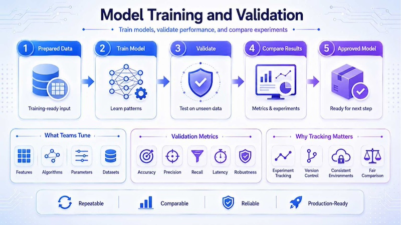 Model training and validation