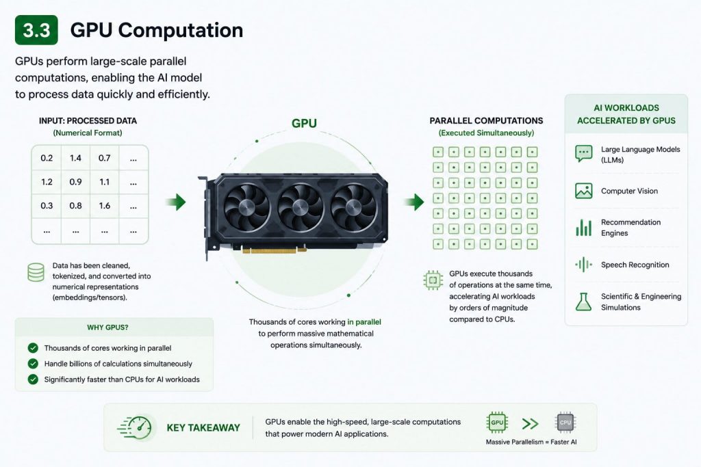 GPUs perform large-scale parallel computations, enabling the AI model to process data quickly and efficiently