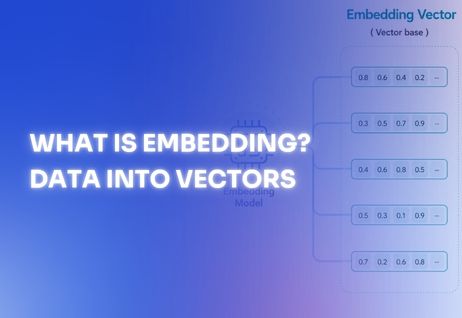 What Is Embedding